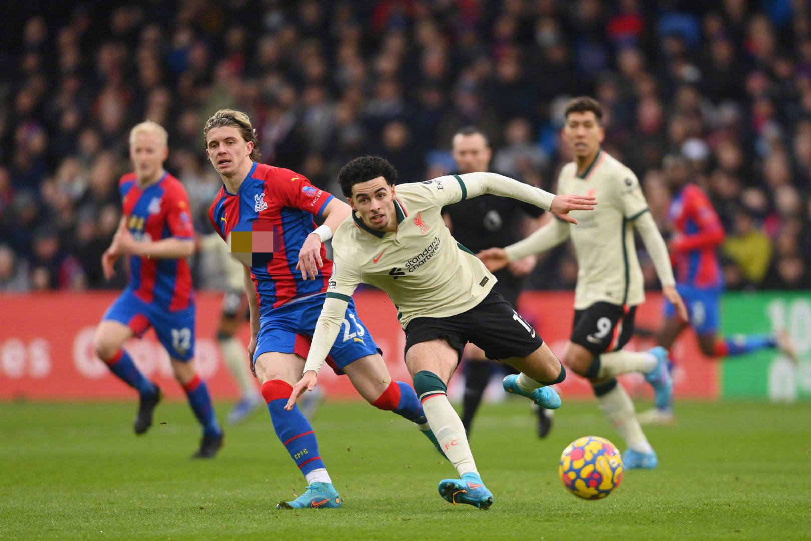 新政的核心 新政的核心